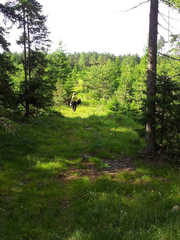 Maenniste Holiday Home Hiievalja Oda fotoğraf