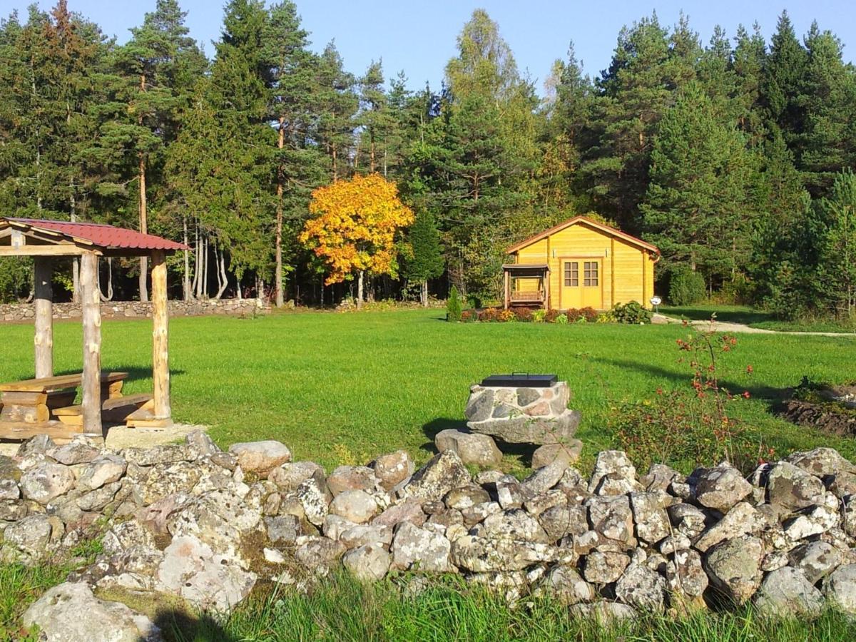 Maenniste Holiday Home Hiievalja Oda fotoğraf